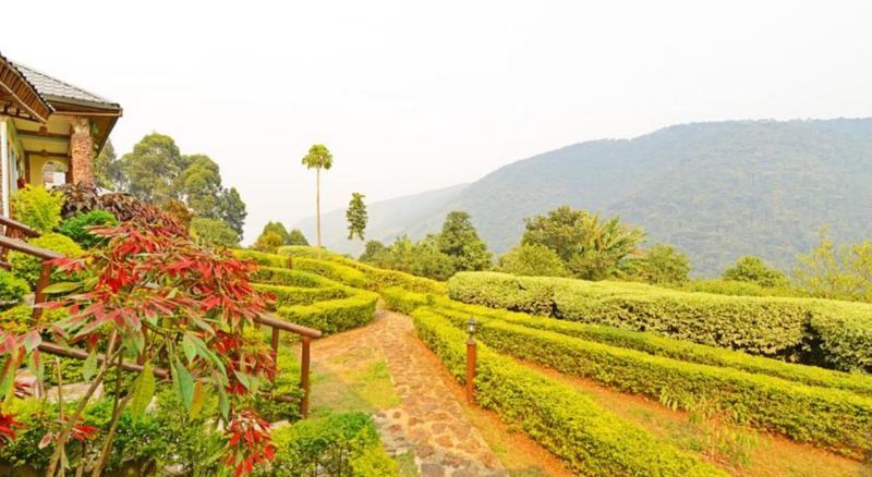 Silverback Lodge Buhoma Exterior foto