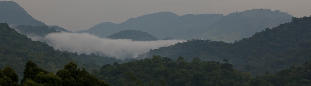Silverback Lodge Buhoma Exterior foto